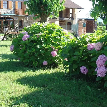 Agriturismo Al Gelso Farm stay